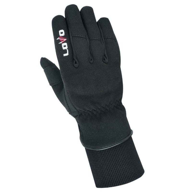 gants de moto, gants avec protections, gants d'hiver pour moto