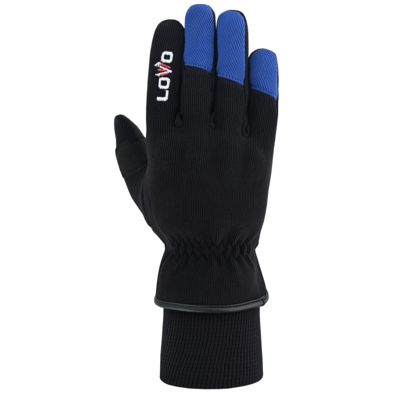 gants de moto, gants avec protections, gants d'hiver pour moto