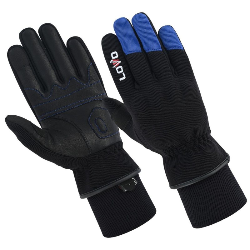 gants de moto, gants avec protections, gants d'hiver pour moto