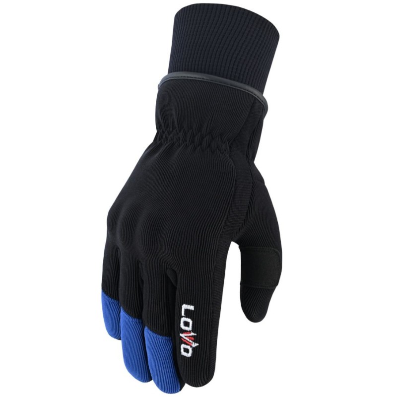 gants de moto, gants avec protections, gants d'hiver pour moto